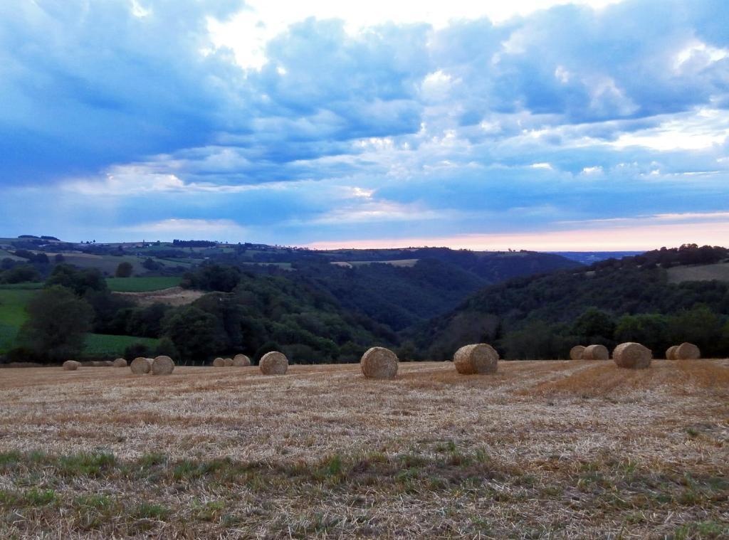 Domaine De Lasfonds Rieupeyroux  Pokoj fotografie